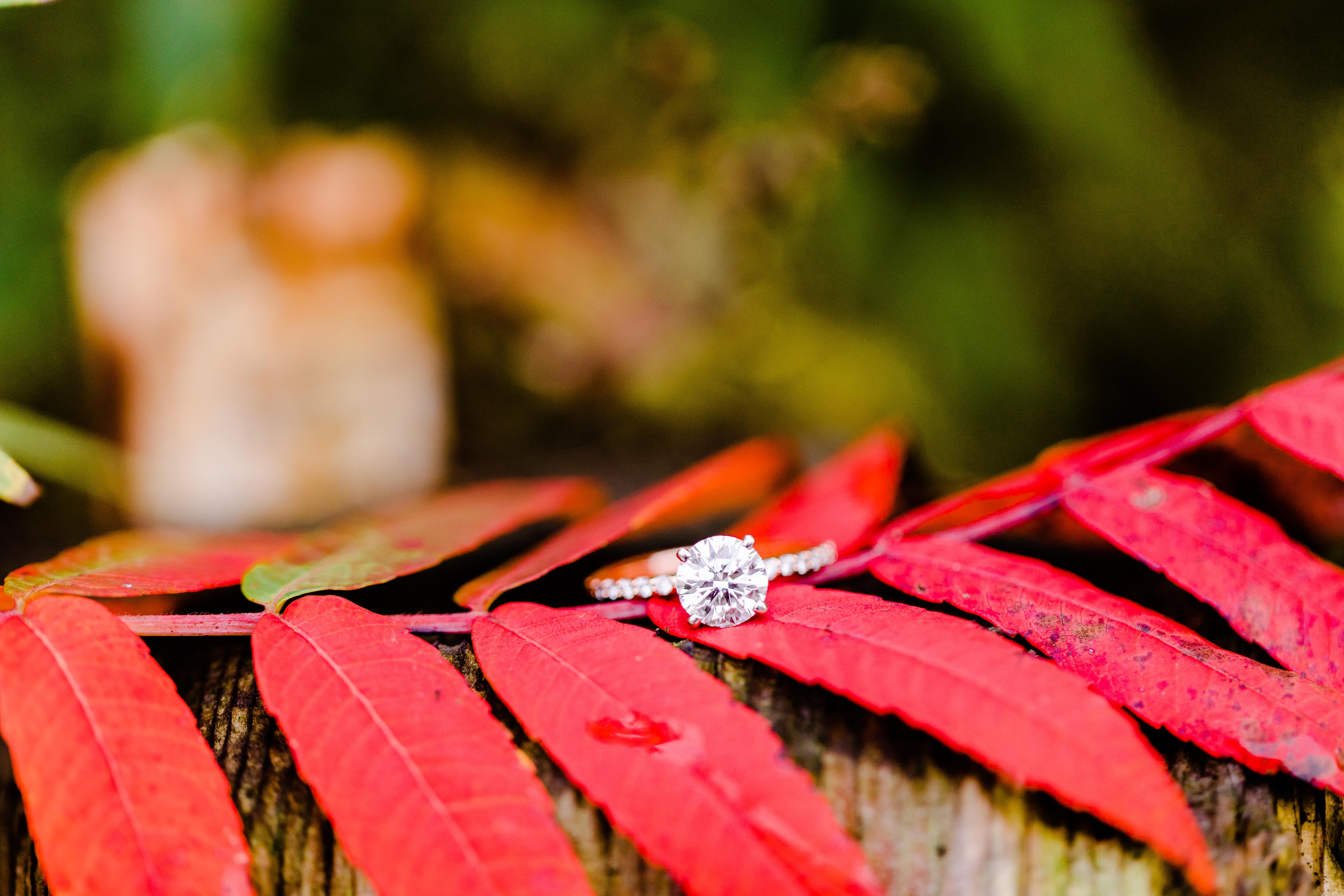 The Wedding Website of Athena Hendricks-Dakouras and Devon Thiel