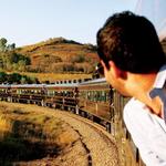 Tequila Express