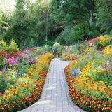 Bibler Gardens