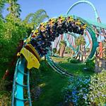 Busch Gardens Tampa Bay