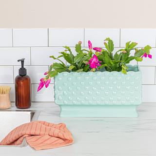 Bungalow Lane Hobnail Planter