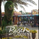 Busch Gardens Tampa Bay