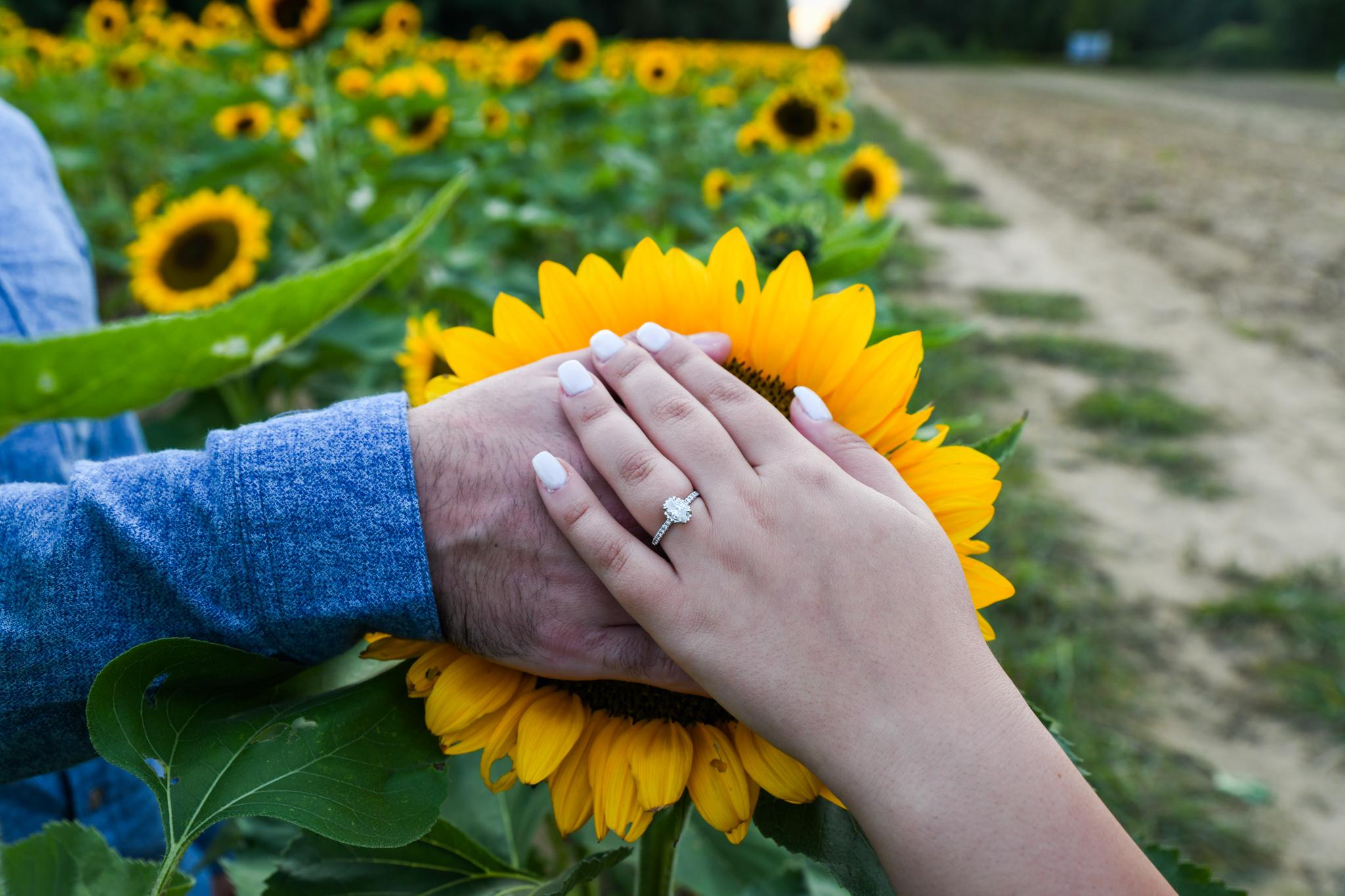 The Wedding Website of Graciela Lombardi and Nicholas DePinto