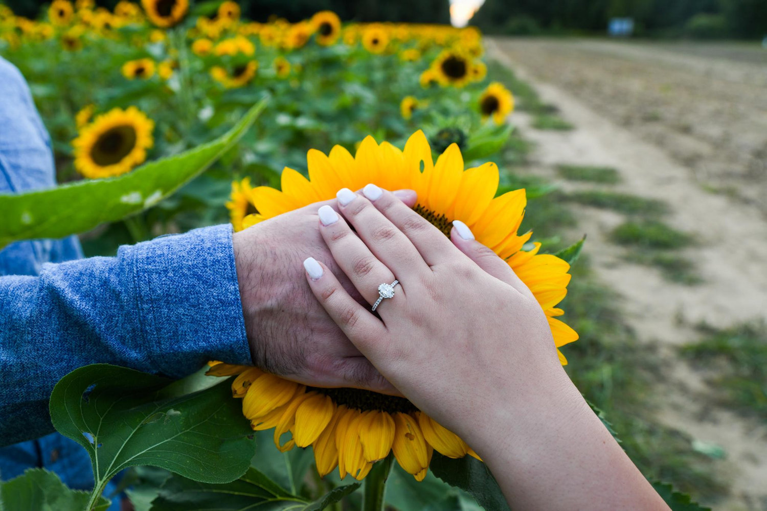The Wedding Website of Graciela Lombardi and Nicholas DePinto