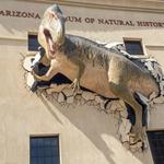 Arizona Museum of Natural History