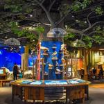 McWane Science Center