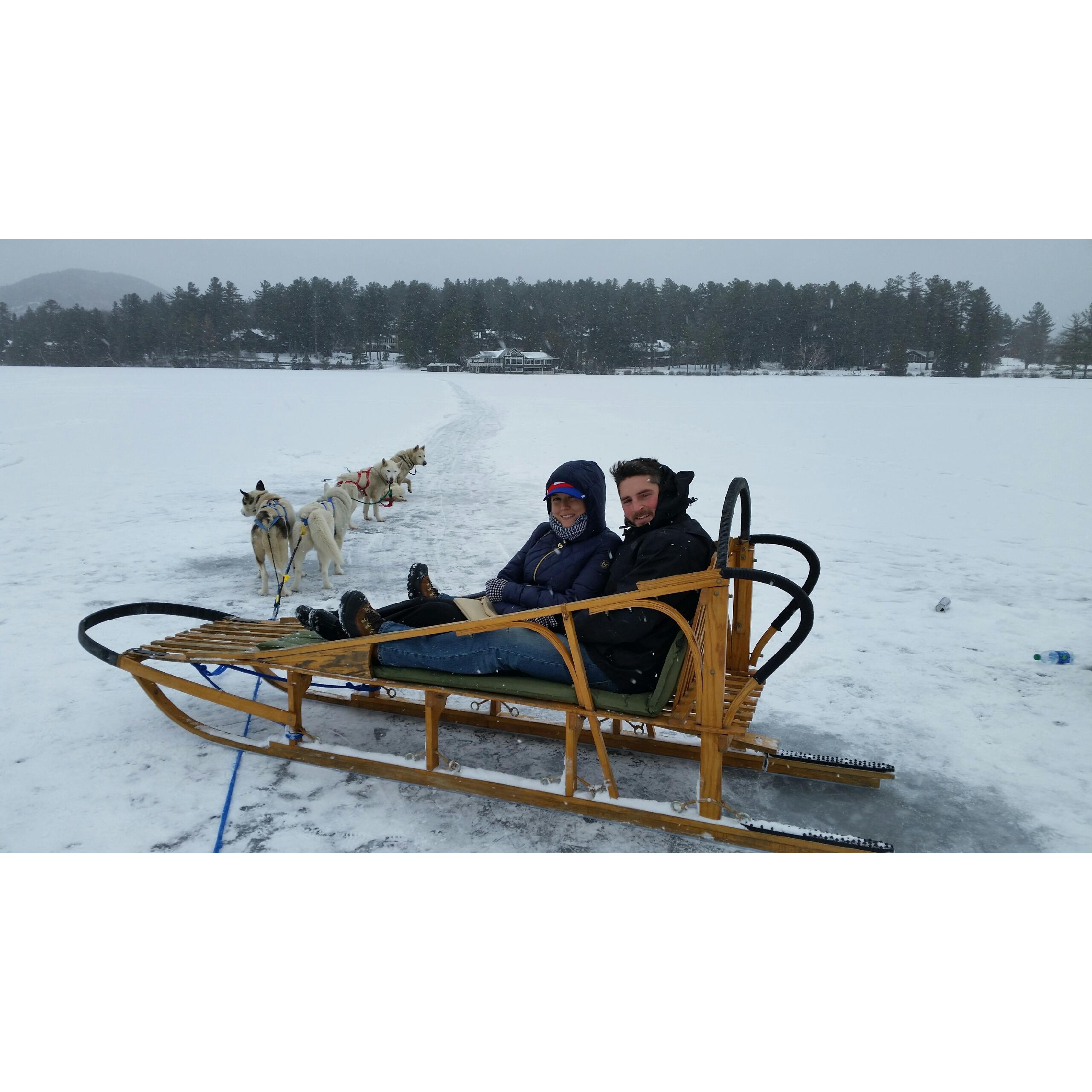 Dog sledding in Lake Placid!
