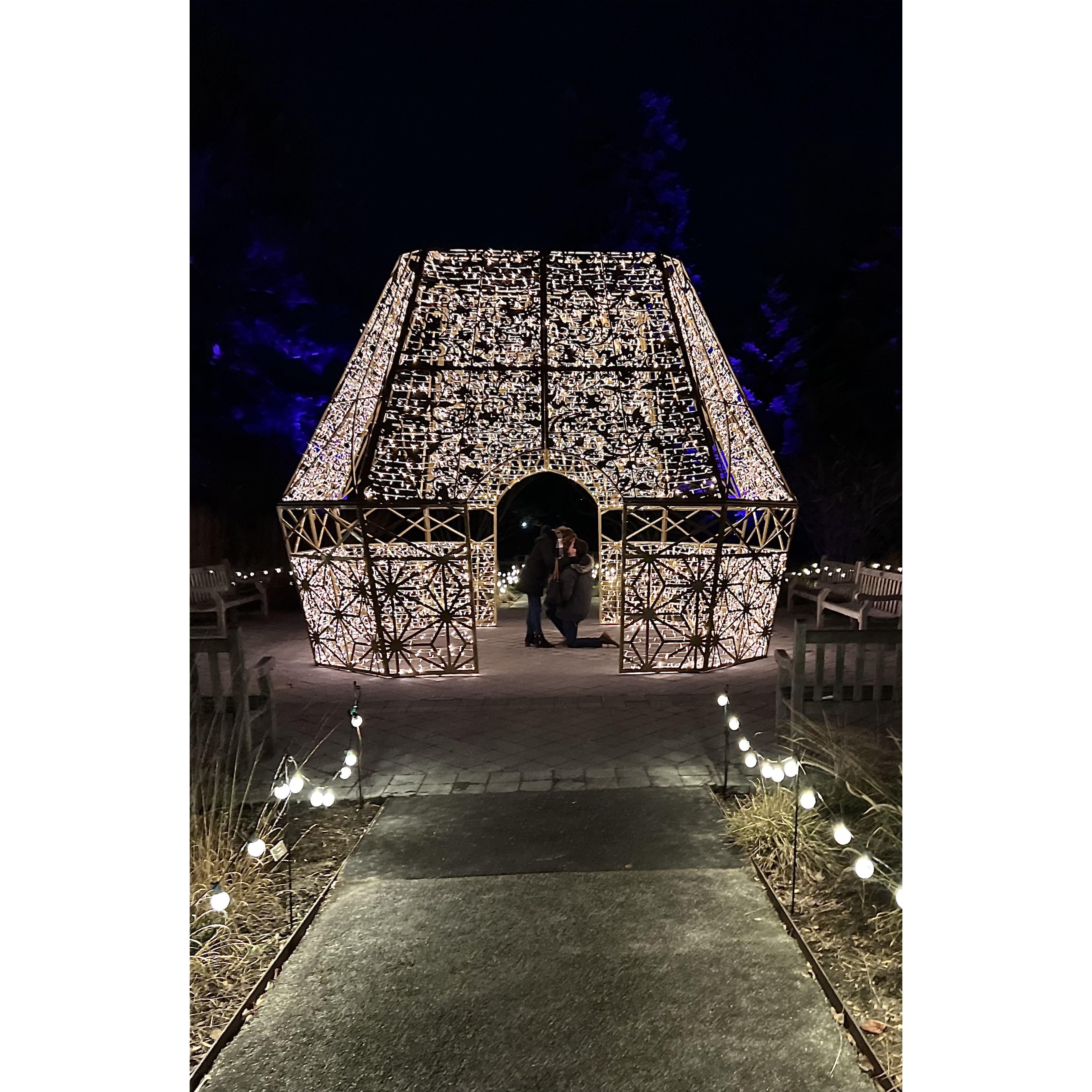 A photo taken by a lovely stranger during the most special night of our lives when Alex proposed to Ella at the New York Botanical Garden.