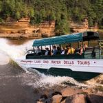 Original Wisconsin Ducks