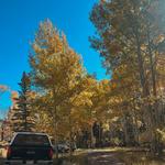 Leaf Peeping