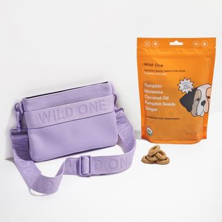 Pumpkin Spice Treat & Pouch Bundle