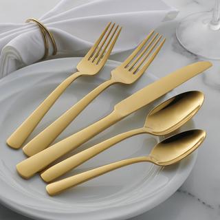 Aptitude 20-Piece Everyday Flatware Set, Service For 4