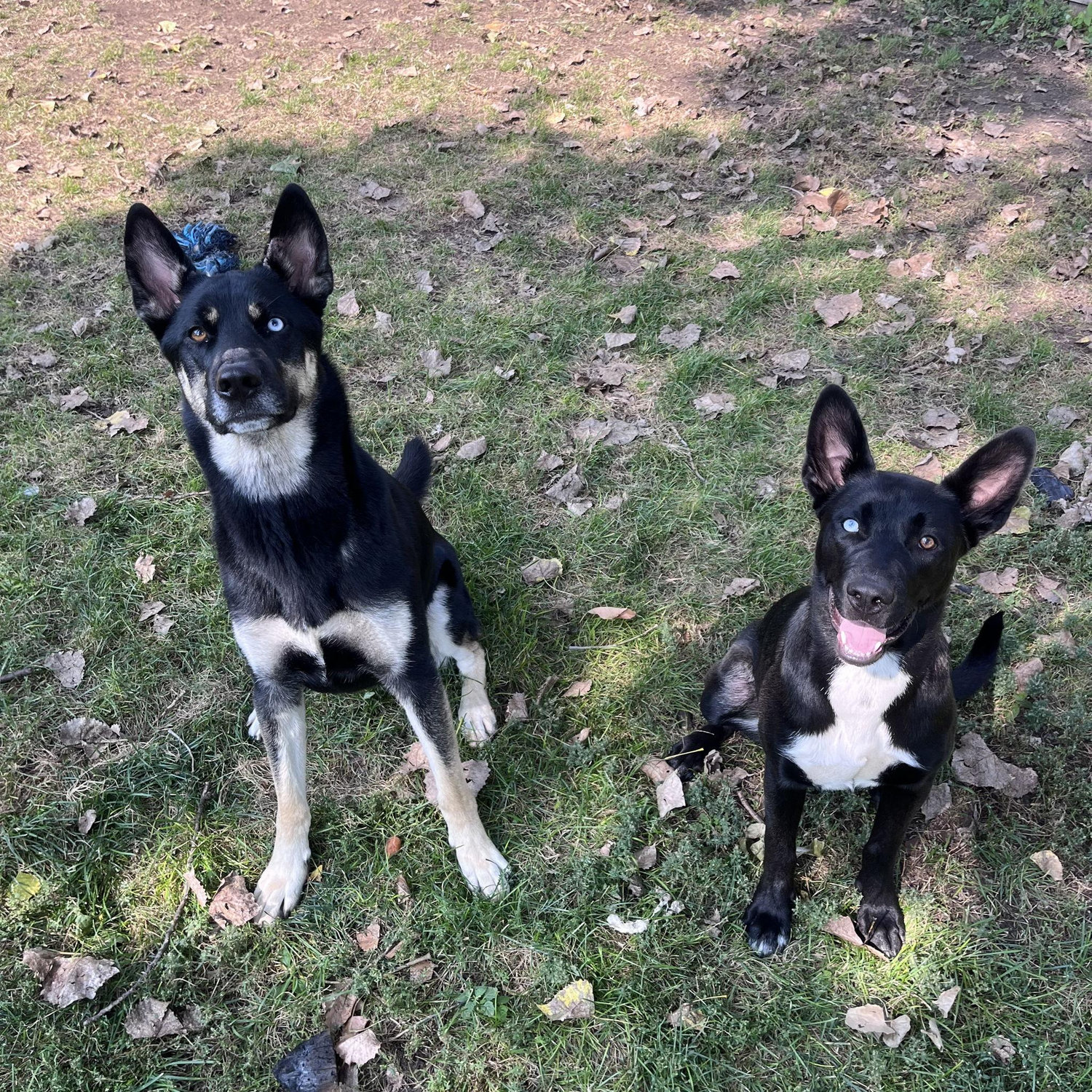 Can't forget our sweet babies!