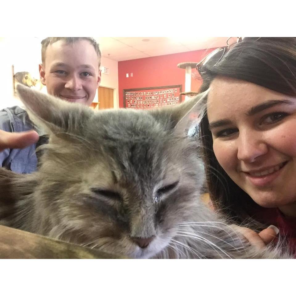 The night our car broke down so we went to a cat cafe