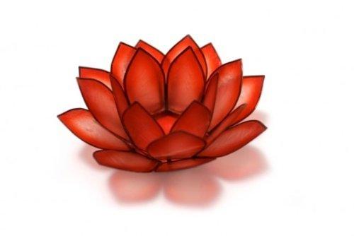 Paradise Red Horizon Capiz Lotus Tea Light Holder