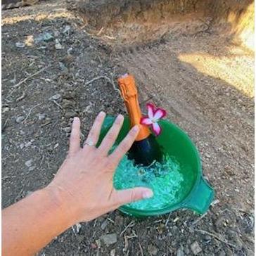 Thought I was excited about our future pool, but "Will you swim in it with me forever?" was better!