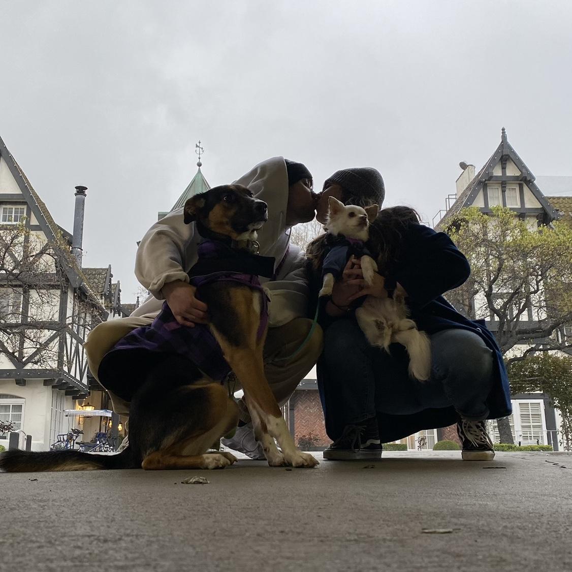 Our 5th year anniversary in Solvang with our pups, Anabelle and Tesla. March 2023.