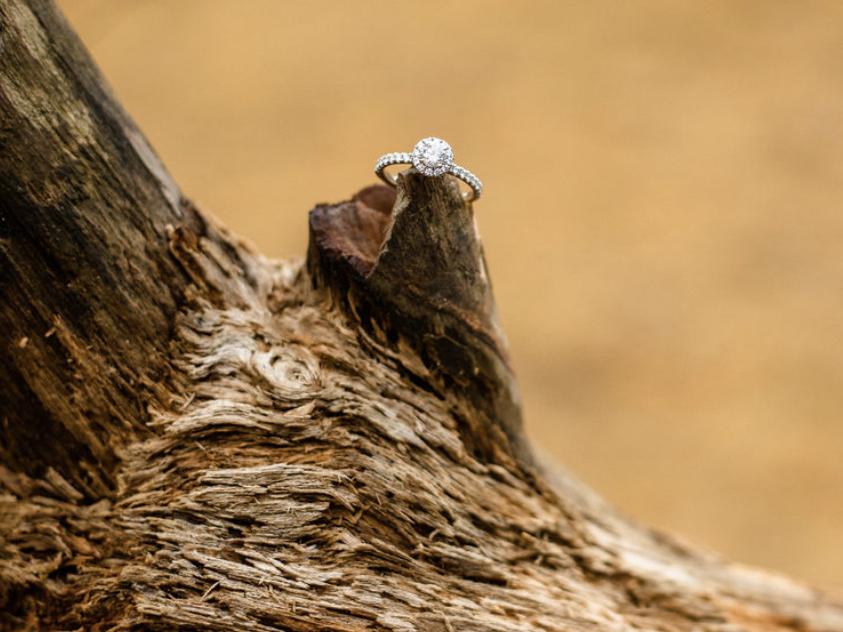 The Wedding Website of Alana Branch and Maxwell Briggs