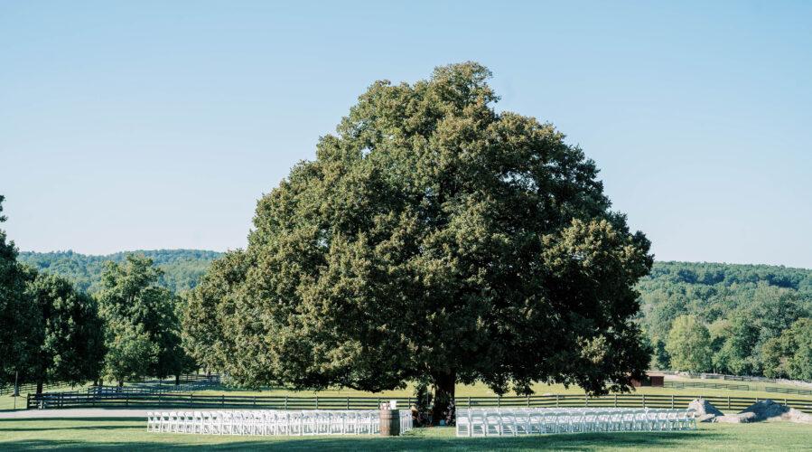 The Wedding Website of Shelby Minka and Evan Cobb