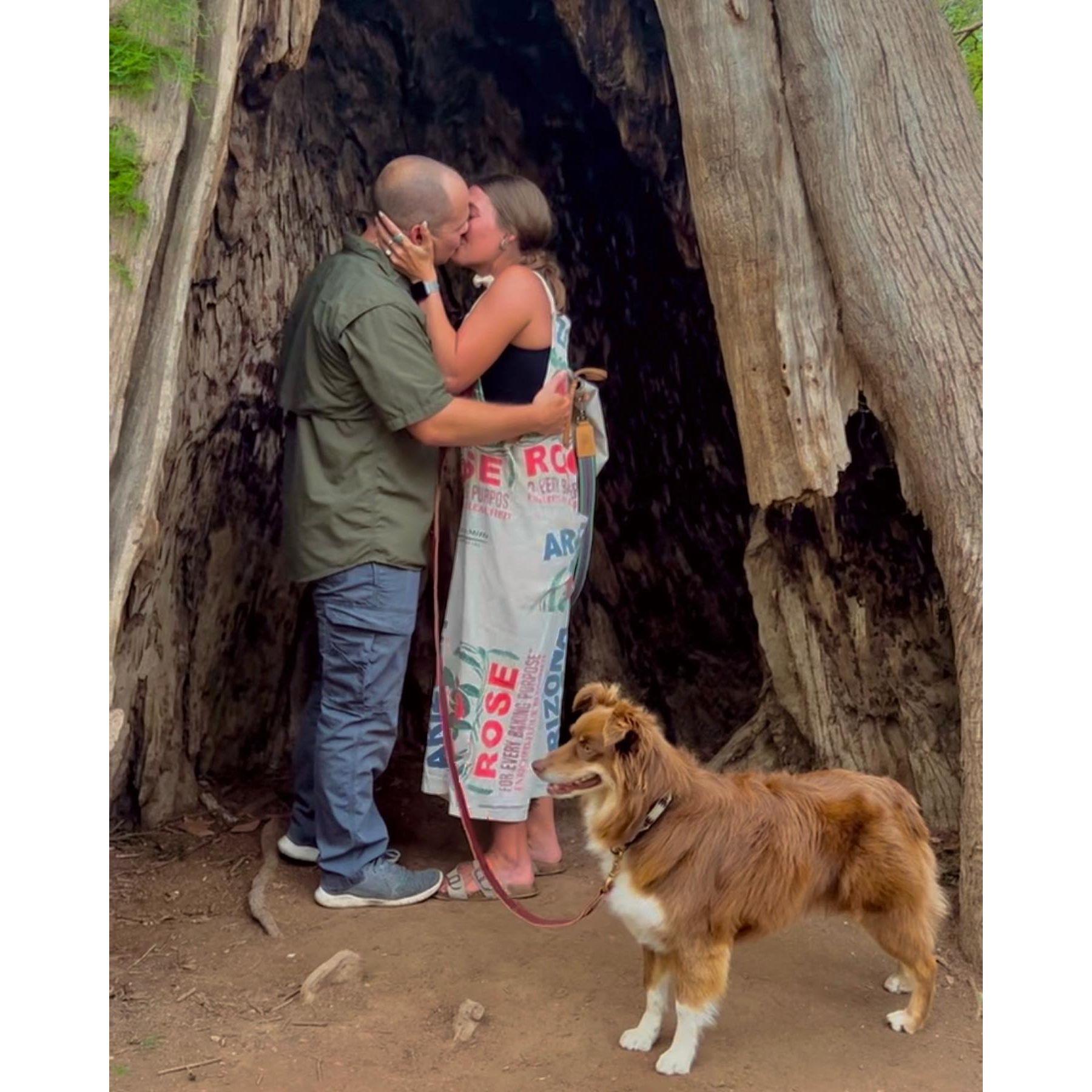 The most perfect day. The day I said yes to forever.