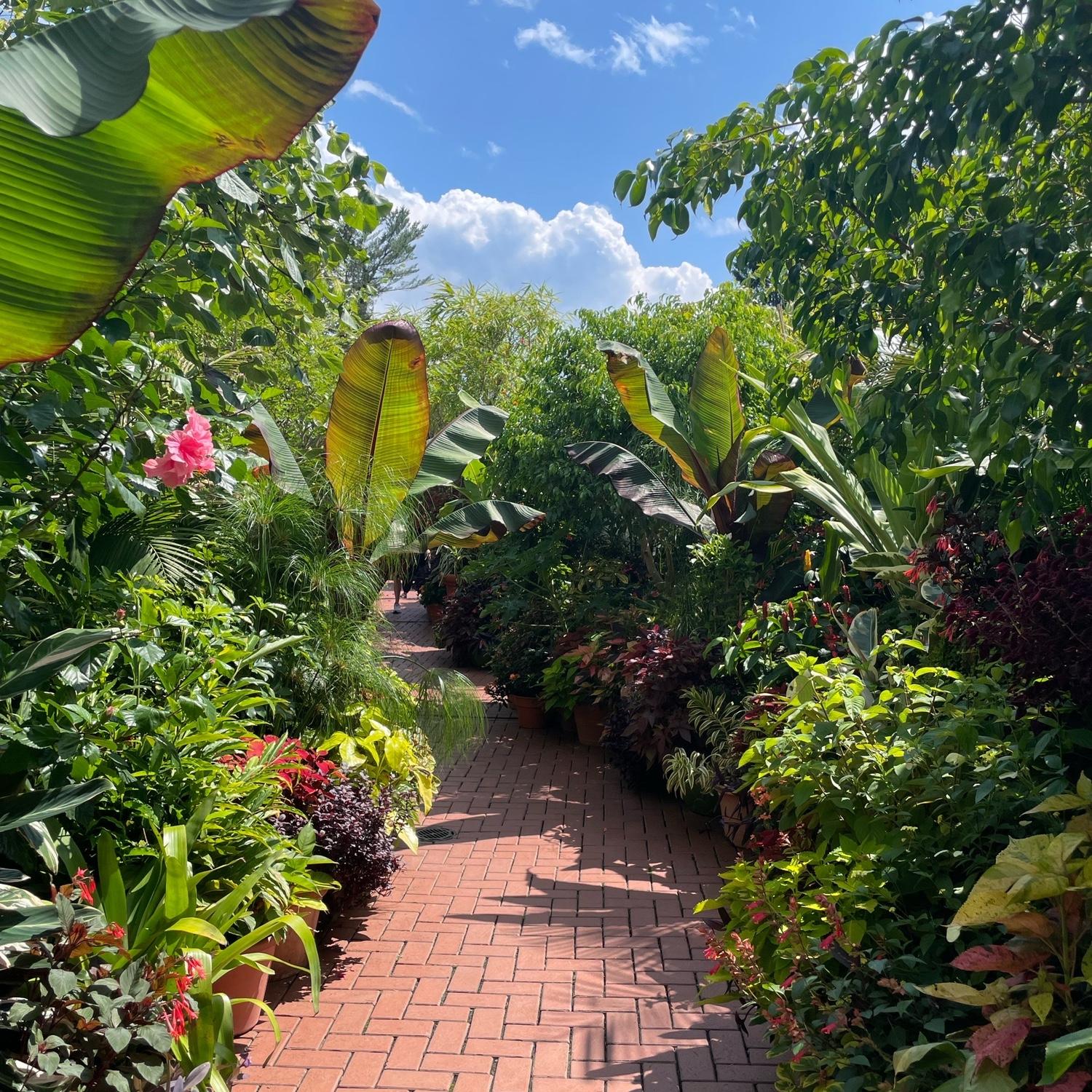 This is the gorgeous garden at Biltmore Estate. Joseph planned the whole day and it remains one of my favorite dates of all time!
