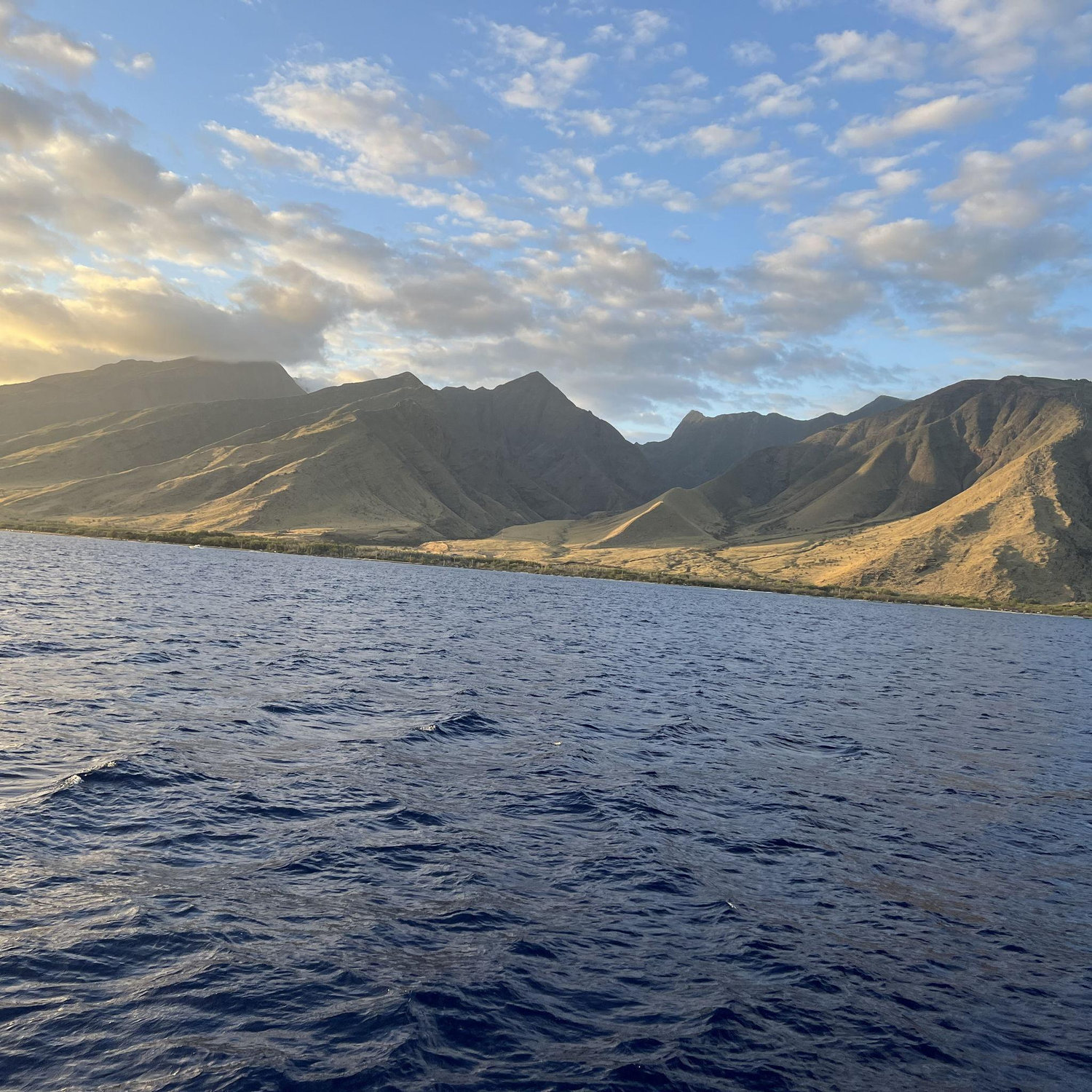 Sunset Cruise