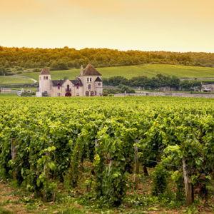 Drinking Bordeaux in Bordeaux