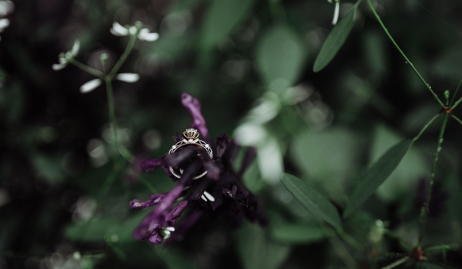 Footer image