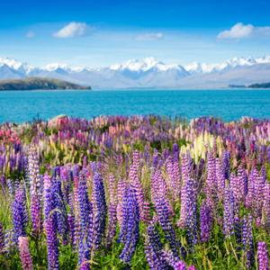 New Zealand