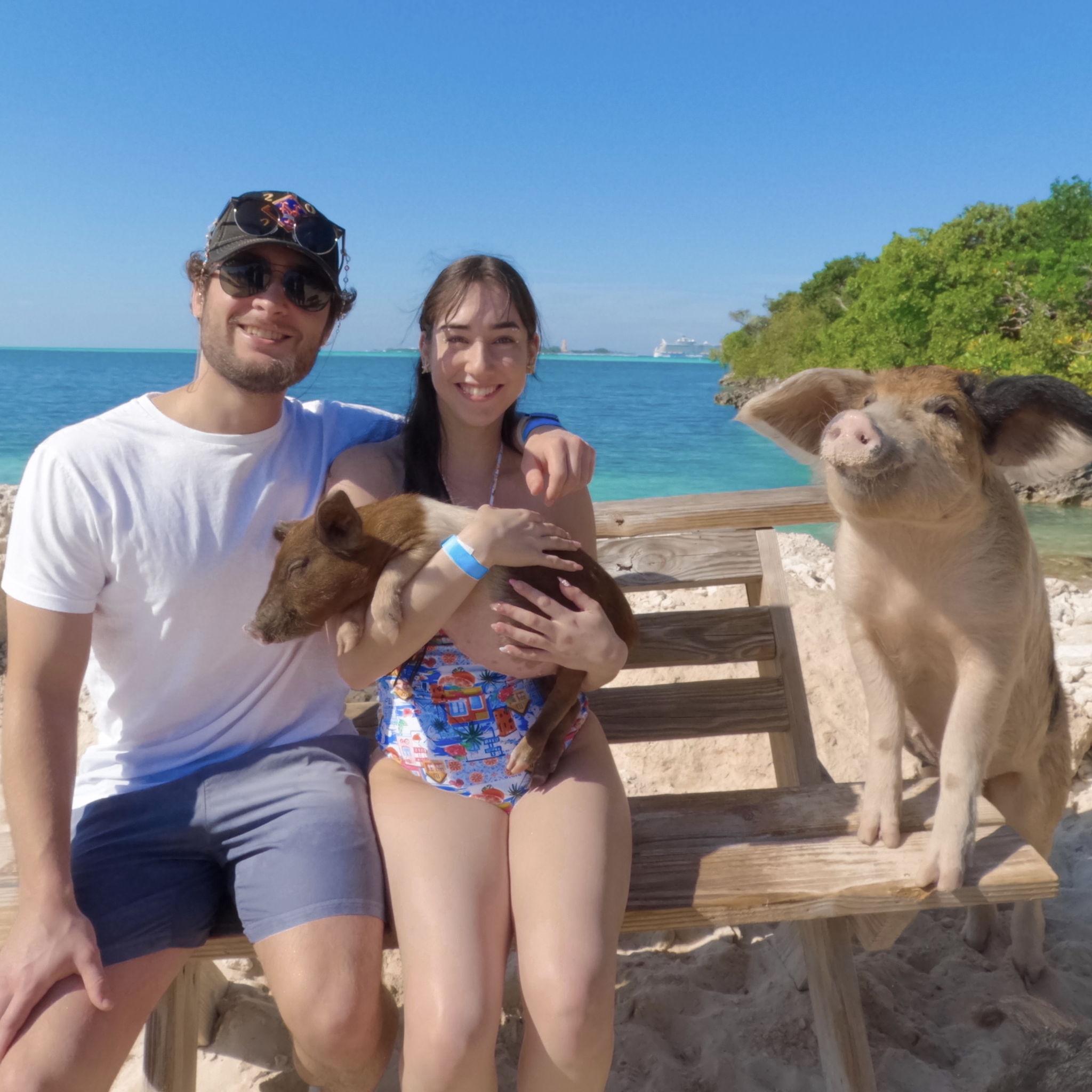 Swimming with pigs in the Bahamas