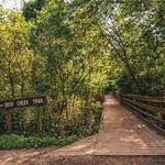 Frick Park