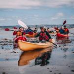 Adventures By the Sea