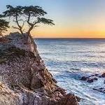 Monterey