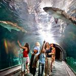 Adventure Aquarium