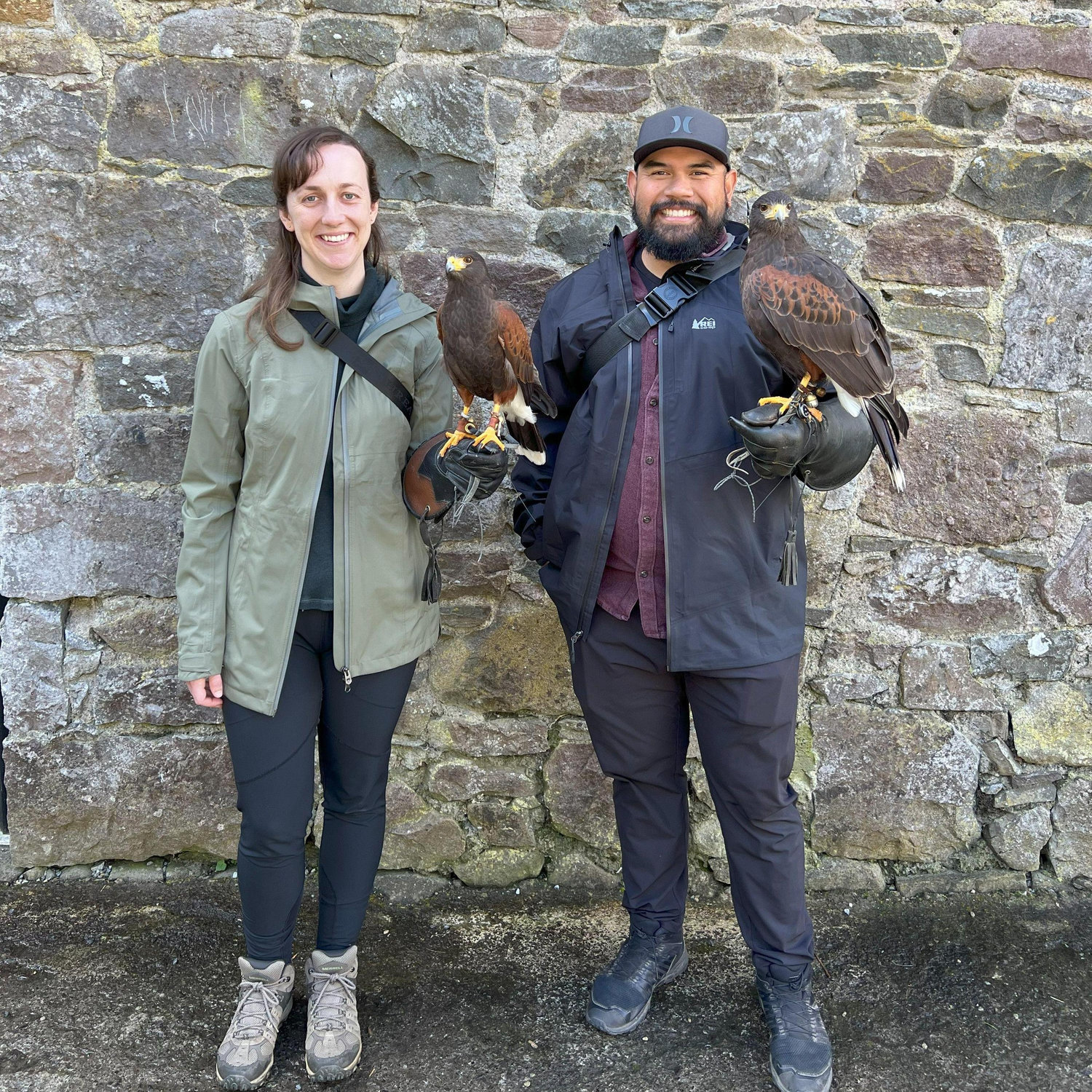 Trying falconry in Ireland with our Harris Hawks, Sonora and Beckett