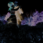 Grounds For Sculpture