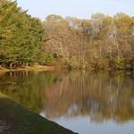 Shark River Park