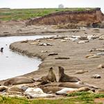San Simeon State Park