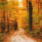 Recreation Areas