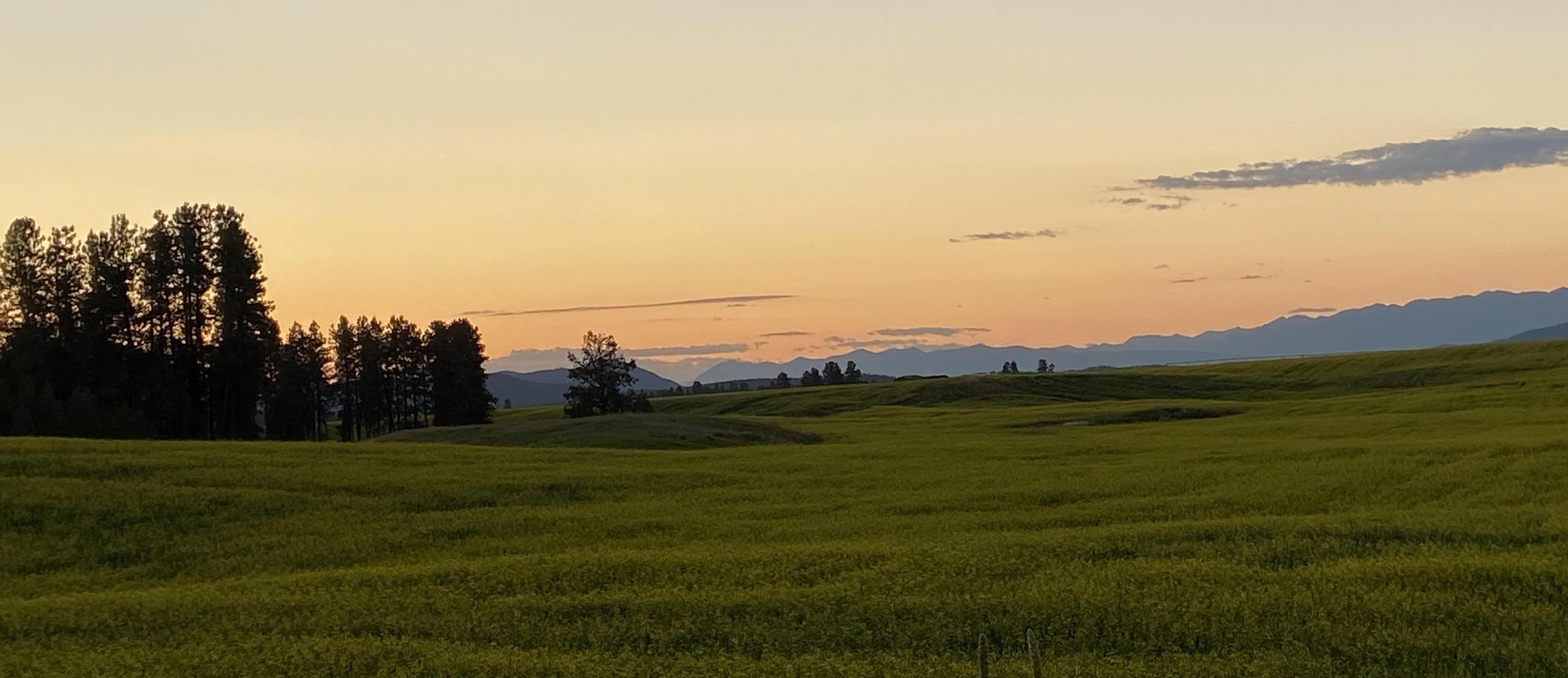 The Wedding Website of Samantha Jacobson and Cody Brown