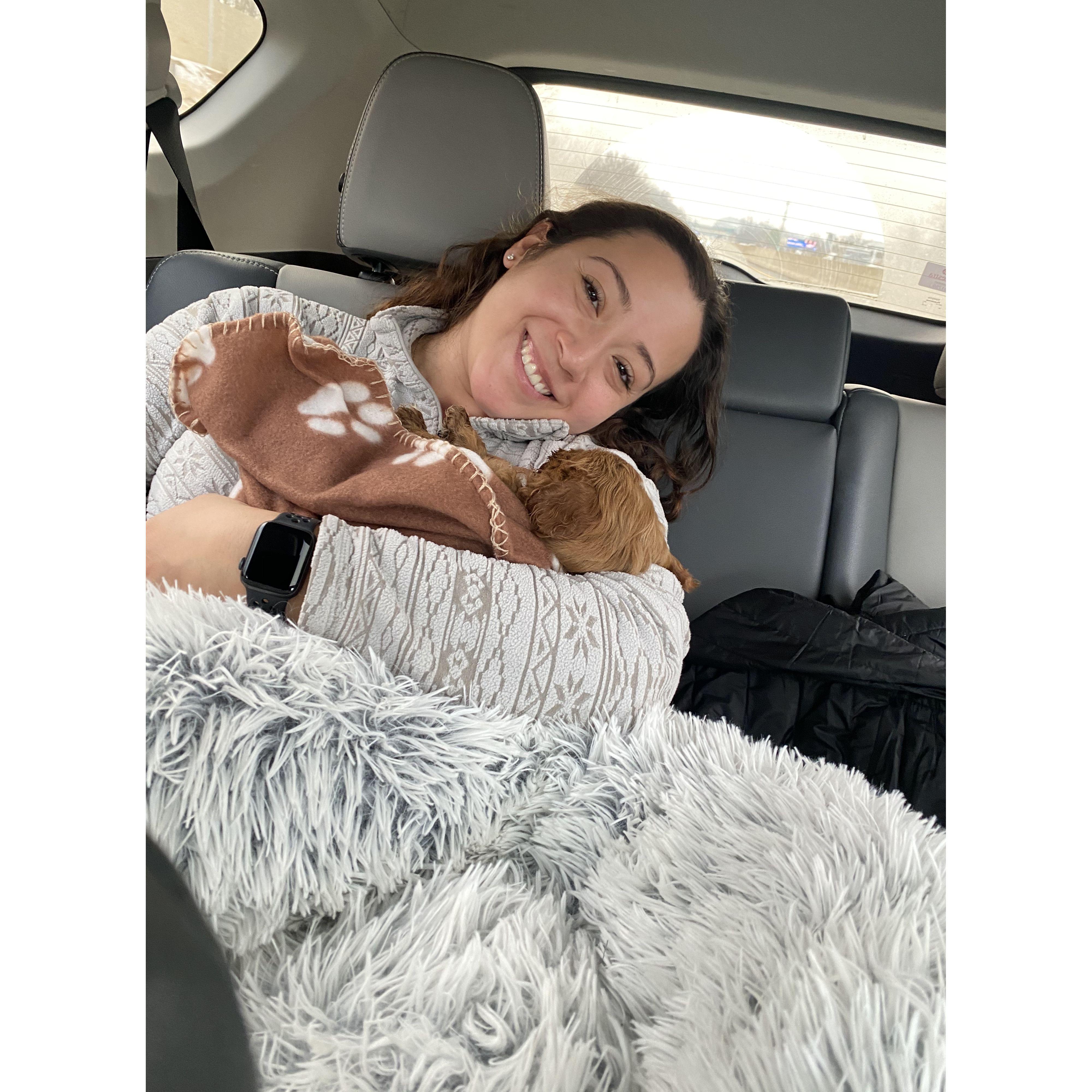December 2020: Gotcha day! Bringing home our son, Rigatoni, from PA.