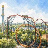 Busch Gardens Tampa Bay