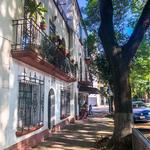 La Condesa Neighborhood