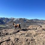 🏔️South Table Mountain