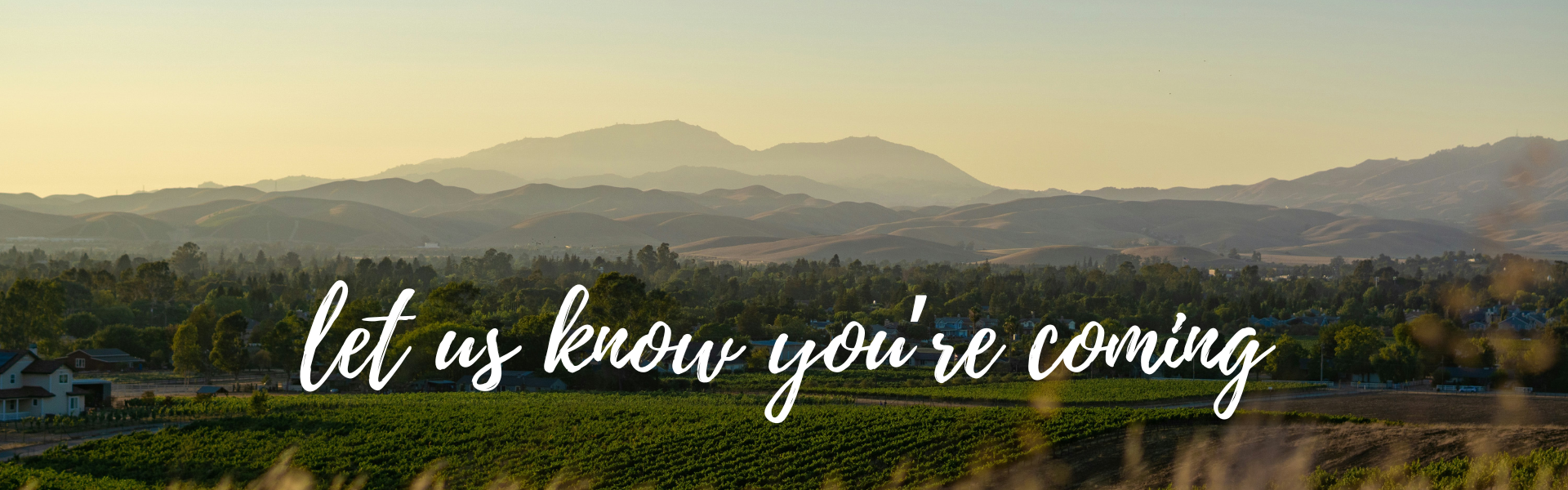 The Wedding Website of Emily Reed and Cameron Thomas