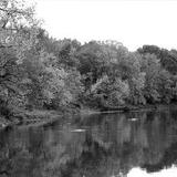 Chippewa Nature Center - Visitor Center