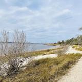Carolina Beach State Park
