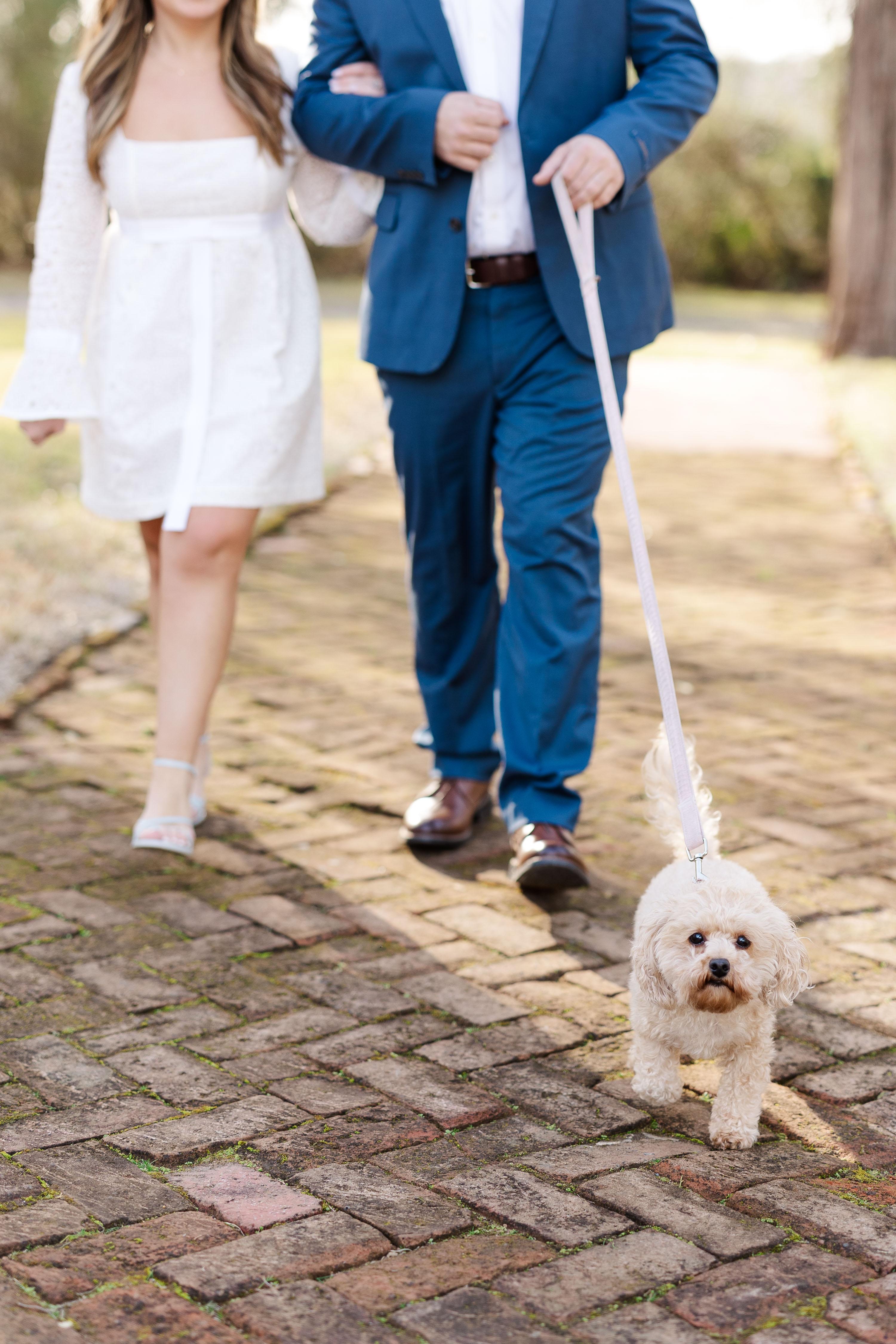 The Wedding Website of Amanda Emmer and Brayden Bullock