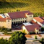 Villa Bellezza Winery & Vineyards