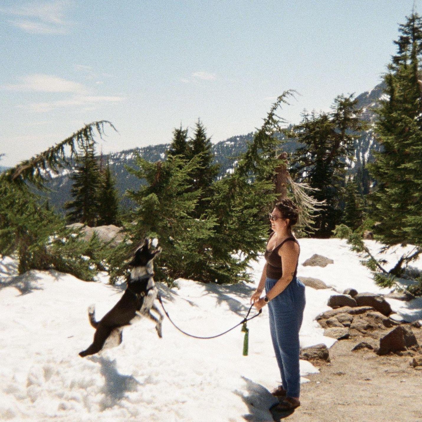 3rd time is the charm! Finally visiting Lassen Volcanic National Park